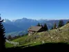 Aufstieg zur Thurner Alm bei Mittaüralm Blick Richtung SW