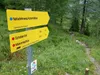 vom Sadnighaus Richtung Aürnigalm