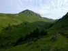 von Aürnigalm Richtung Burgstalleralm