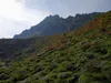 von Burgstalleralm zum Schobertörl hinten Makernispitze