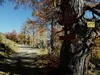 von der Glocknerblickhütte bis zum Sadnighaus