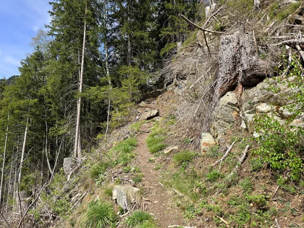 Aufstieg zum Oblasser Stausee Blick Richtung Großglockner