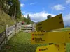 von Hinteregg Aufstieg zur Nürnitzalm