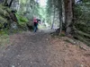 von Hinteregg Aufstieg zur Nürnitzalm sehr steile Passage