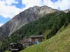 Nürnitzalm hinten der Hintereggkogel