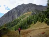 von Nürnitzalm Aufstieg zum Ochsenbug hinten der Hintereggkogel