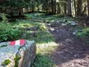 von Oberstalleralm Aufstieg Richtung Wangesscharte
