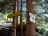 von Oberstalleralm Aufstieg Richtung Wangesscharte