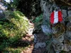 von Oberstalleralm Aufstieg Richtung Wangesscharte