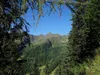von Oberstalleralm Aufstieg Richtung Wangesscharte Blick Richtung Riepenspitze