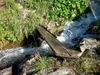 von Oberstalleralm Aufstieg Richtung Wangesscharte über den Lerchenbach