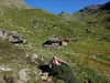 von Oberstalleralm Aufstieg Richtung Wangesscharte bei Almhütte