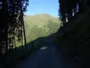 von Schettlet Richtung Kamelisenalm hinten Mitte Kreuzspitze