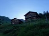 Kamelisenalm