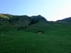 von Kamelisenalm Richtung Gipfel Rotes Kinkele