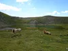 Abstieg vom Gipfel Rotes Kinkele Richtung Öwelenke beim unteren Remessee