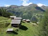 Kamelisenalm