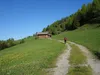 vom Start Richtung Rottmann Alm