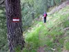 von der Rottmann Alm Richtung Thurner Alm