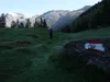 von der Rottmann Alm Richtung Thurner Alm