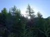 von der Rottmann Alm Richtung Thurner Alm