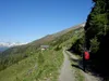 von der Rottmann Alm Richtung Thurner Alm