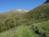 von Thurner Alm Richtung Alkuser Scharte hinten Bildmitte das Rotgabele