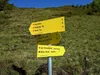 von Thurner Alm Richtung Alkuser Scharte