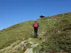 von Thurner Alm Richtung Alkuser Scharte