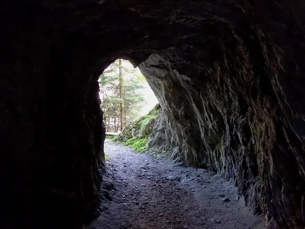 durch die Prosseggklamm