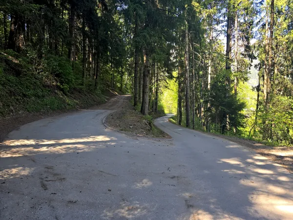 Auftstieg zum Speicherteich Taxermoos