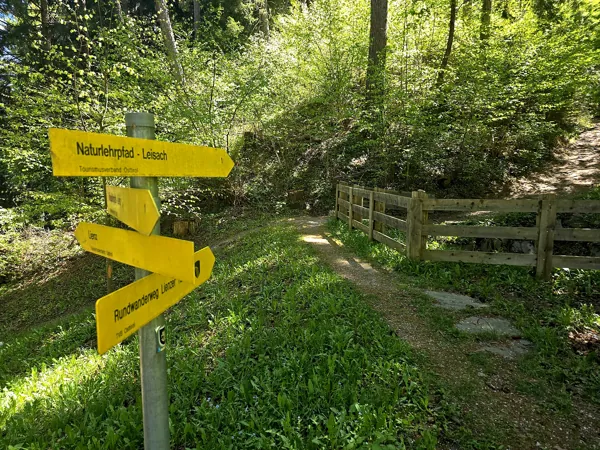 Auftstieg zum Speicherteich Taxermoos Beginn Naturlehrpfad