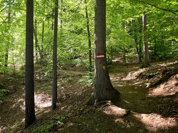Auftstieg zum Speicherteich Taxermoos entlang Naturlehrpfad