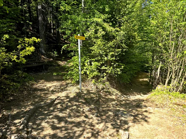 Auftstieg zum Speicherteich Taxermoos entlang Naturlehrpfad Weggabelung