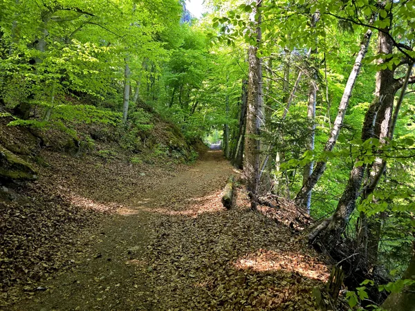 Auftstieg zum Speicherteich Taxermoos
