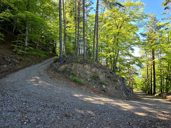 Auftstieg zum Speicherteich Taxermoos