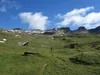 von der Kröllalm Richtung Butzentörl links der Stellkopf