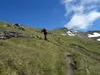 von der Kröllalm Richtung Butzentörl hinten der Stellkopf