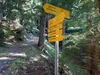 über Waldweg Richtung Sternalm dem Wegweiser Richtung Hochsteinhütte folgen