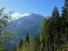 über Waldweg Richtung Sternalm hinten Spitzkofel