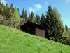 über Waldweg Richtung Sternalm bei Hütte