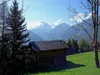 über Waldweg Richtung Sternalm bei Hütte hinten Lienzer Dolomiten