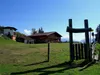 Sternalm