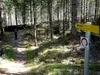 Etappe 4-entlang Uferweg Lesachbach