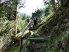 Etappe 4-Über Waldsteig