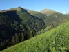 Aufstieg zur Reggnalm Blick Richtung SW