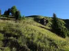 Aufstieg zur Reggnalm