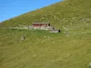 bei der Reggnalm
