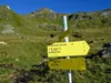 über den Blumenweg zur Oberseitalm