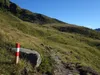 über den Blumenweg zur Oberseitalm